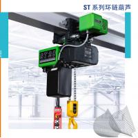 德國STAHL ST 環(huán)鏈葫蘆，起重量從125 kg 到 6,300 kg