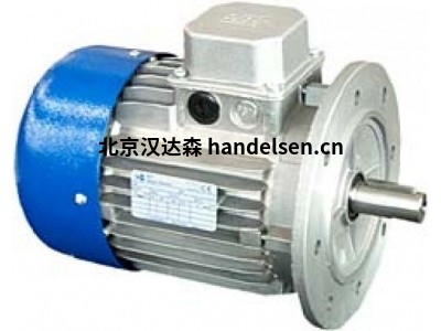 奧地利ASC電機TN 80帶交流和直流制動(dòng)器