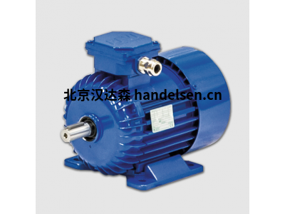 BEVI 2SIEK 63-4B 127289系列標準三相電動(dòng)機