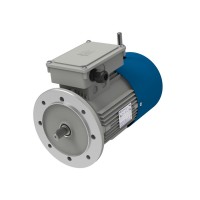 意大利MT Motori DF112三相制動(dòng)電機配有法蘭