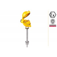 aplisens CT GN1潤濕部件材料316Lss溫度計類(lèi)型工藝連接G1/2