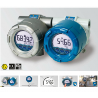 Fluidwell 防爆多用途指示器E490型 ，環(huán)路供電，適用于通用應用