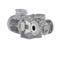 Johnson Pump 內嚙合齒輪泵，適用于中等粘度、清潔和非磨蝕性液體