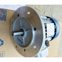 MT Motori電機TF100 4P KW3帶直流制動(dòng)