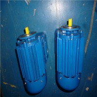 北京漢達森經(jīng)銷(xiāo)的 CEMP 防爆電機技術(shù)介紹