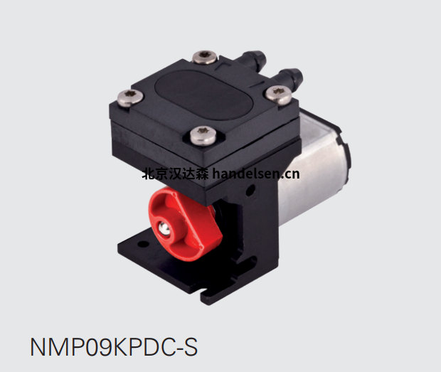 NMP-2