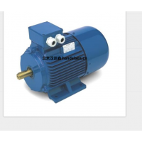 意大利 OEMER 異步電機 MTES3 系列：高效驅動，賦能工業新動能